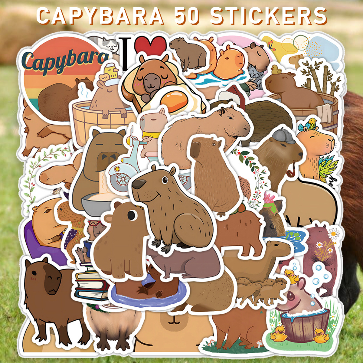  カピバラ1