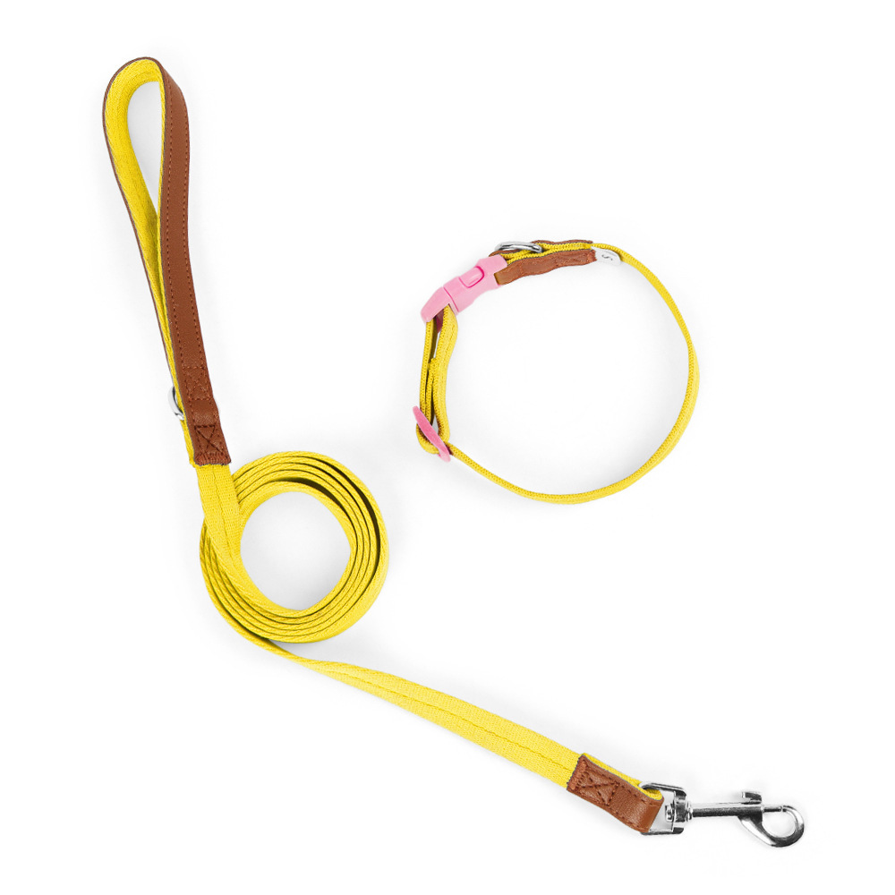 新品zeedog 首輪とリードセットsx クリスマス柄小型犬・パピー 犬 首輪 リード セット 犬首輪 小型犬 中型犬 おしゃれ かわいい