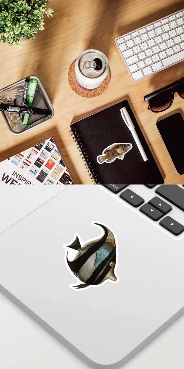  魚図鑑 ステッカー4
