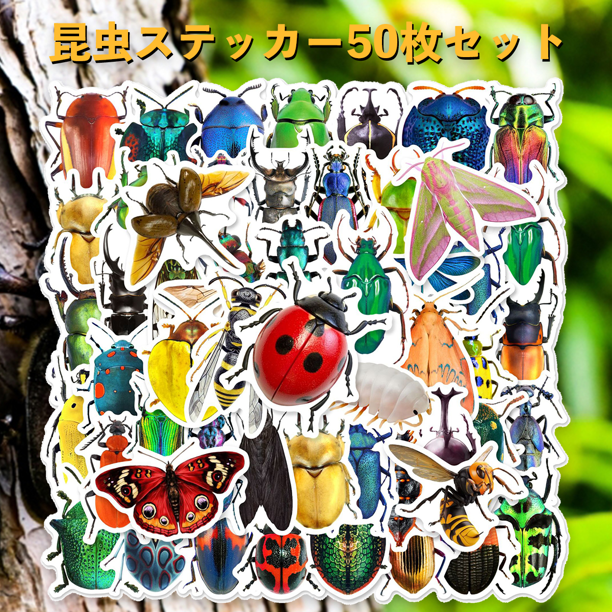 昆虫 ステッカー 50枚セット PVC 防水 シール 蝶々 バタフライ