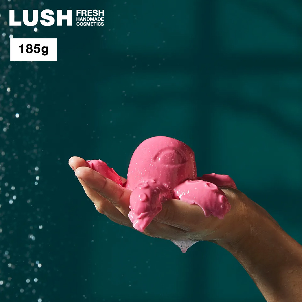 LUSH bV  X^[INgpX V[WF[ nEB  ΂ Ό \[v v`Mtg v`v