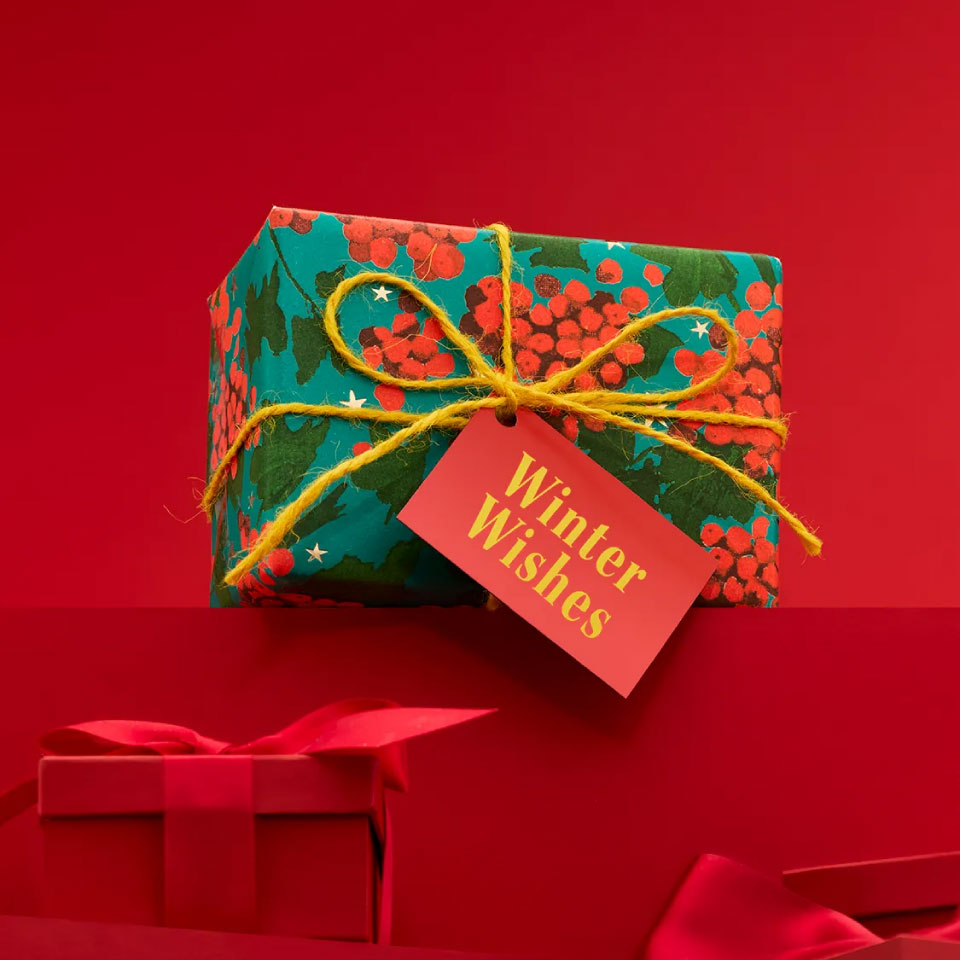 LUSH（ラッシュ） クリスマスウィッシュ ギフト クリスマス 限定 2025