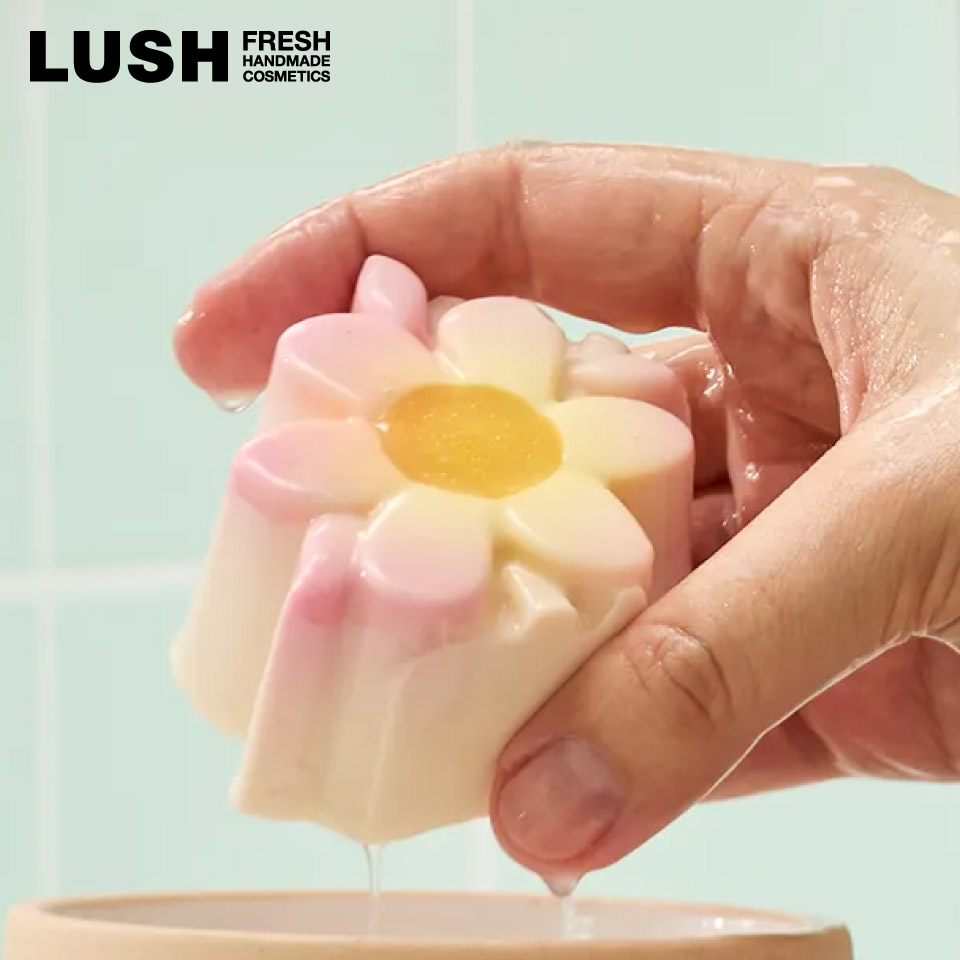 LUSH(ラッシュ) 母の日 プレゼント みつばちマーチ ソープ 固形 石鹸 LUSH(ラッシュ) 母の日 プレゼント みつばちマーチ ソープ 固形 石鹸