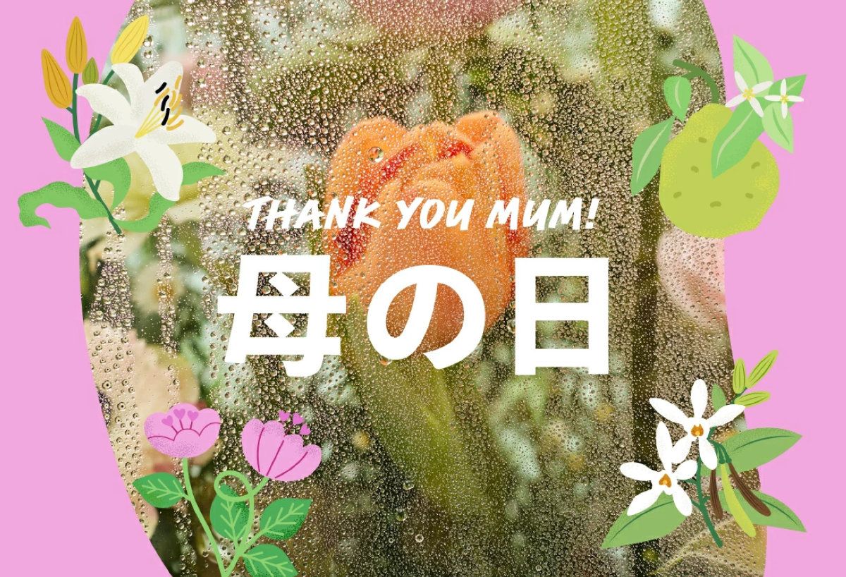 LUSH公式 ヤフー店 - Yahoo!ショッピング