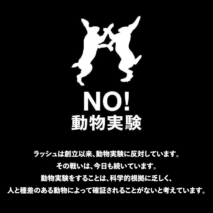 LUSH ラッシュ 公式 アドベントカレンダー ギフト セット クリスマス プレゼント バスボム 入浴剤 石鹸 スクラブ 蝋燭 香水 リップ コフレ コスメ、美容、ヘアケア ボディケア バス用品 LUSH ラッシュ 公式 アドベントカレンダー ギフト セット クリスマス プレゼント バスボム 入浴剤 石鹸 スクラブ 蝋燭 香水 リップ コフレ コスメ、美容、ヘアケア ボディケア バス用品