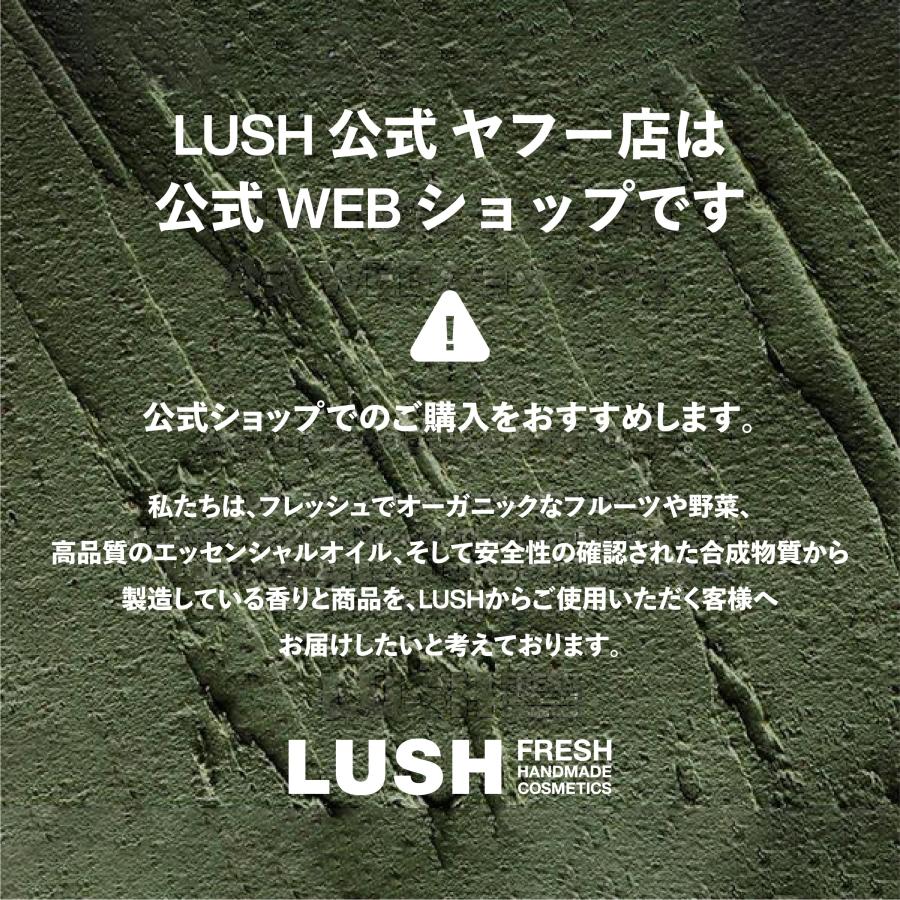 LUSH ラッシュ 公式 アメリカン・クリーム 240g ヘア コンディショナー プレゼント向け しっとり 保湿 乾燥 ツヤ いい匂い ハンドメイド｜lush｜10