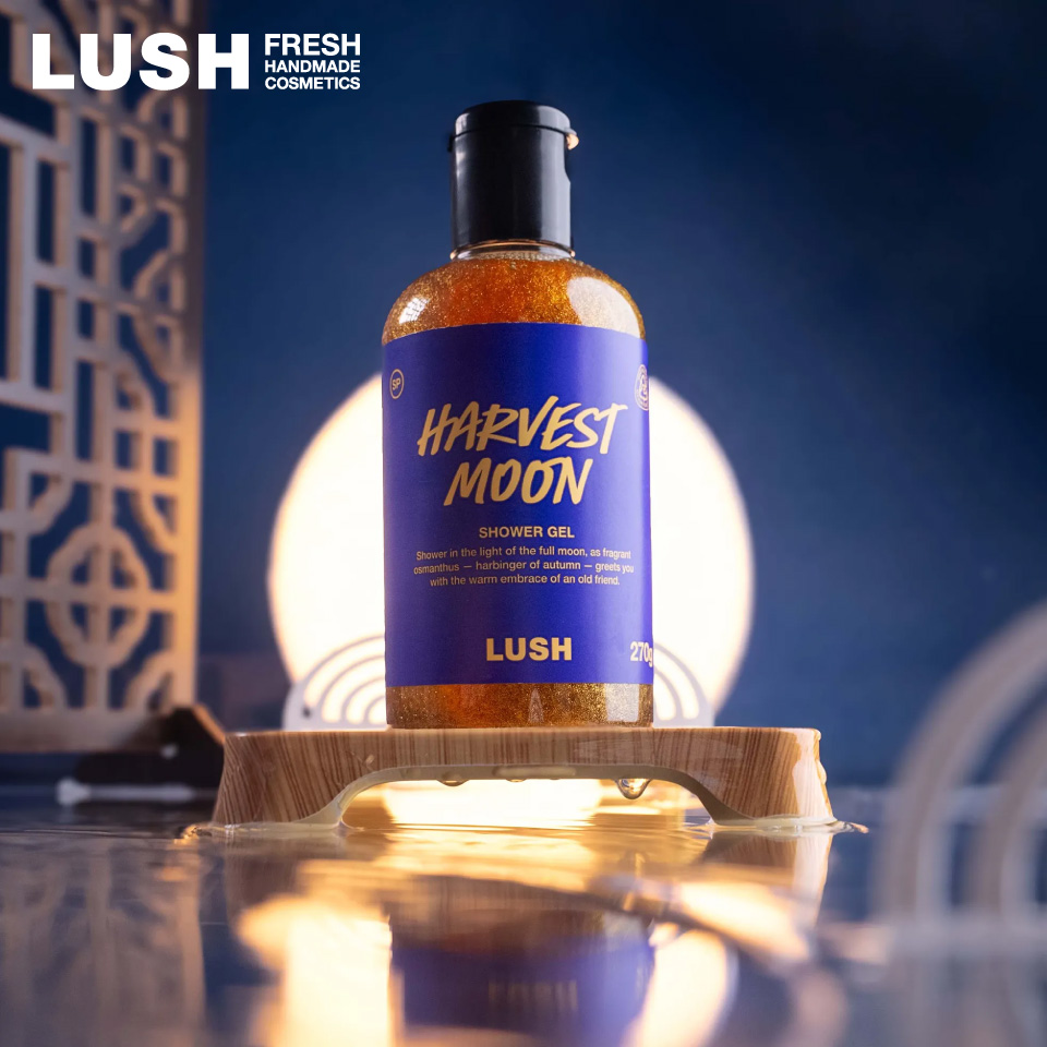 LUSH ラッシュ シャワージェル」の人気商品一覧・価格比較 - 価格.com
