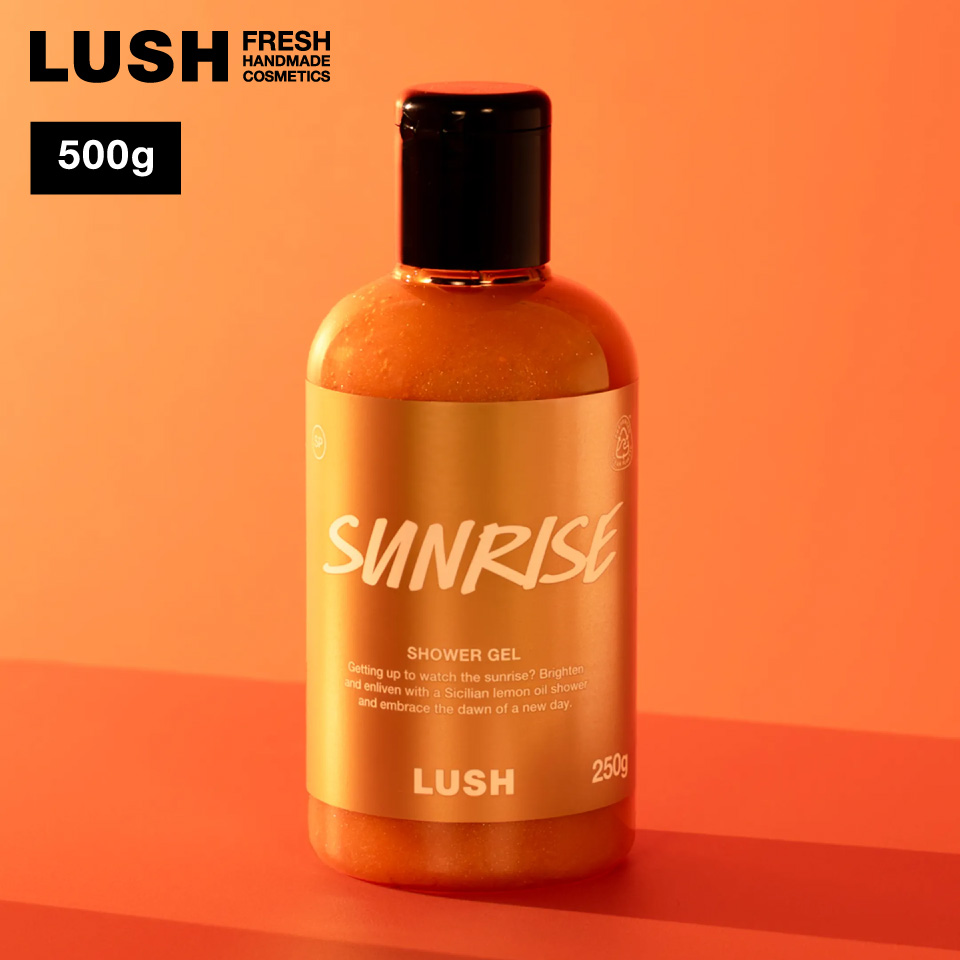 LUSH（ラッシュ） 収穫祭 250g ボディソープ シャワージェル