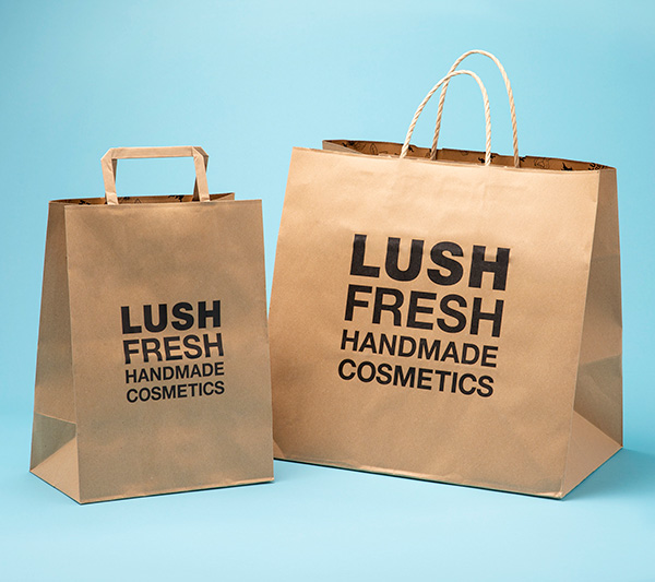 LUSH ショッパー 紙袋 手提げ袋 買い物袋 バッグ 用 ギフト おしゃれ かわいい ラッピング 手渡し お配り用 プレゼント ラッシュ 公式 関連画像3