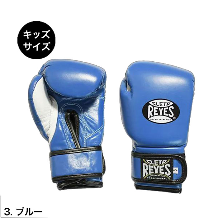 【新品未使用】REYES 8oz　グローブ　ブルー　青 REYESボクシンググローブ マジックテープ式 ・New青(8oz-16oz