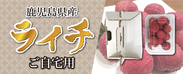 国産ライチ販売ショップ - Yahoo!ショッピング