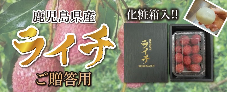 国産ライチ販売ショップ - Yahoo!ショッピング