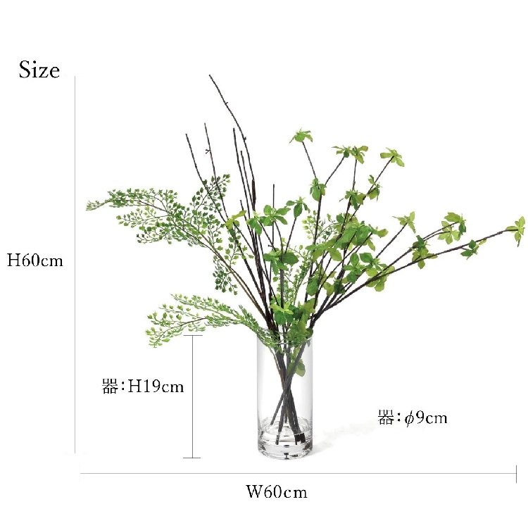ドウダンツツジのおすすめ人気商品一覧 通販 - Yahoo!ショッピング