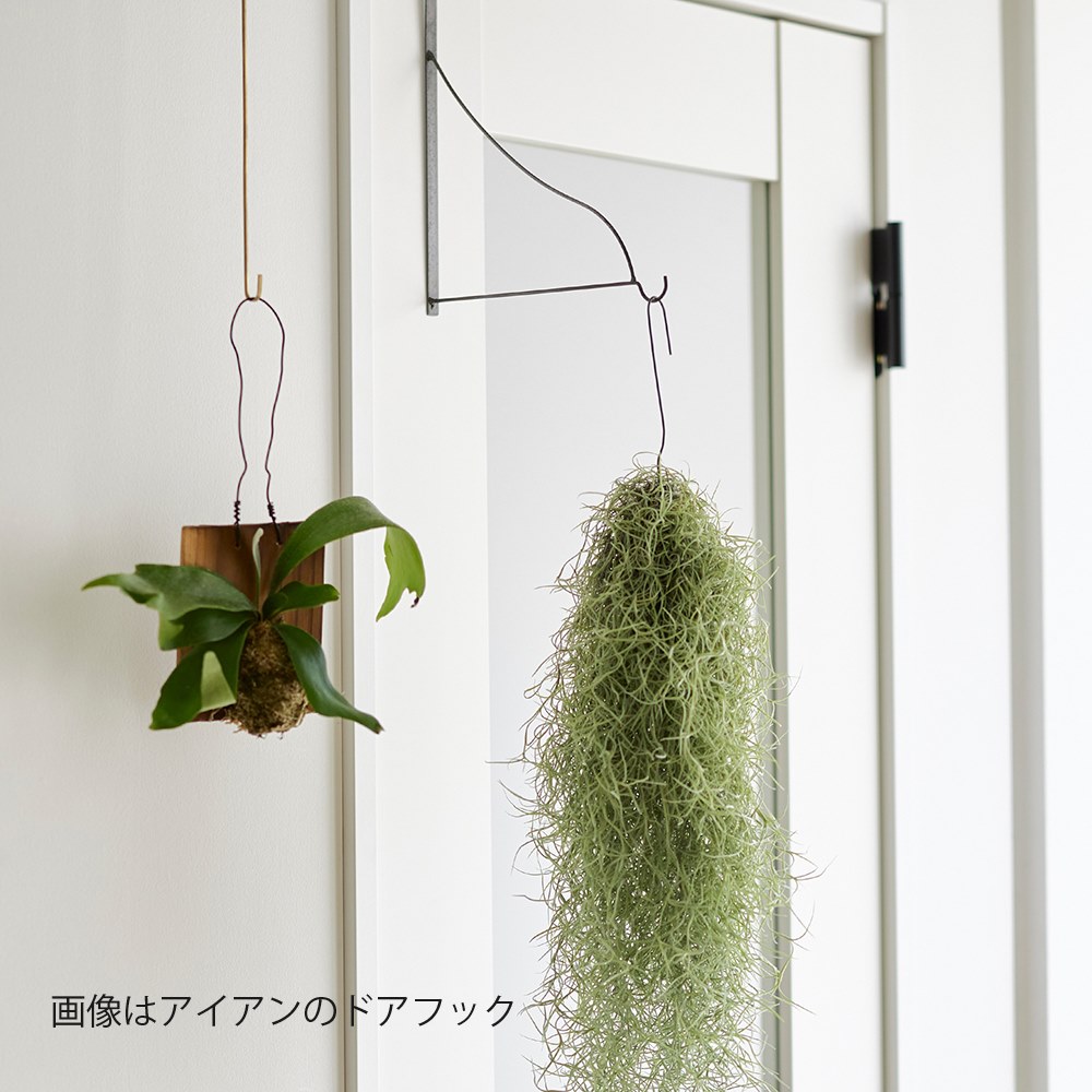 ドアフック 壁面収納 おしゃれ 木製 スチール ヴィンテージ風