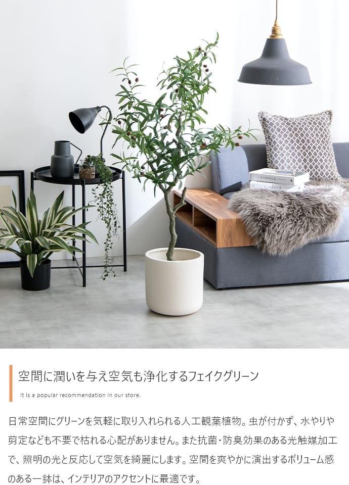 フェイクグリーン 150のおすすめ人気商品一覧 通販 - Yahoo!ショッピング
