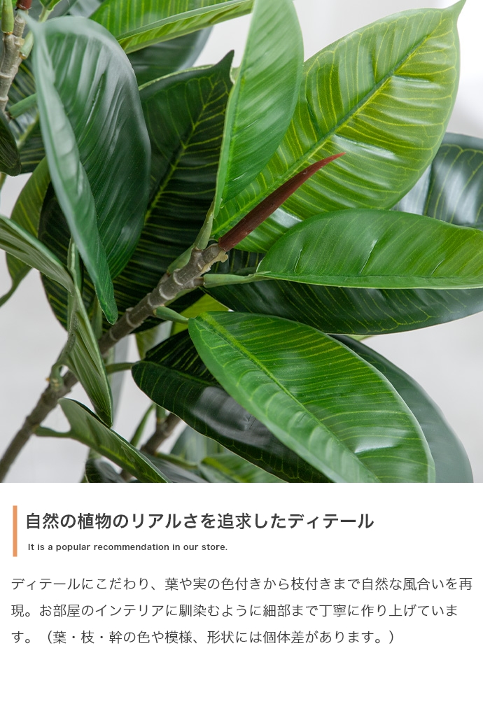 フェイクグリーン オリーブ 85cm 125cm 150cm 光触媒 観葉植物 造花 インテリア アレルギー対策 大型 消臭 防臭 抗菌 空気清浄_9