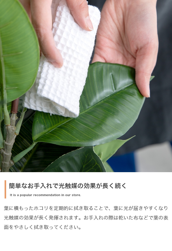 フェイクグリーン オリーブ 85cm 125cm 150cm 光触媒 観葉植物 造花 インテリア アレルギー対策 大型 消臭 防臭 抗菌 空気清浄_12