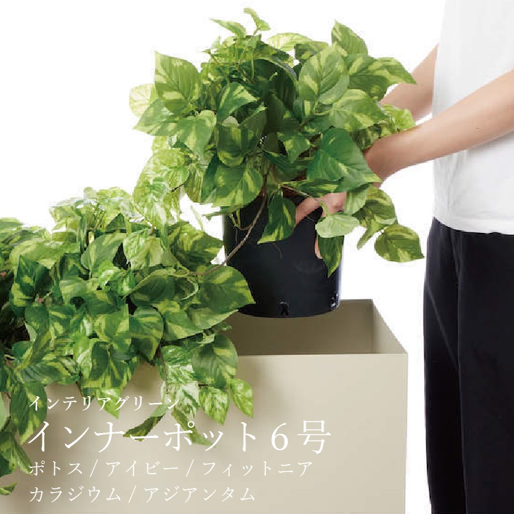 フェイクグリーン 6号鉢 インナーポット ポトス アイビー フィットニア カラジウム アジアンタム 造花 観葉植物 おしゃれ 日本製 植木鉢 プレゼント お祝い