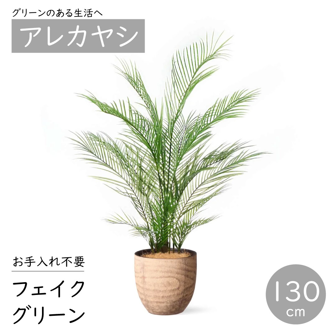 ☘️フジバカマ苗☘️ ❤抜き苗❤ 選べるおまけつき 無農薬