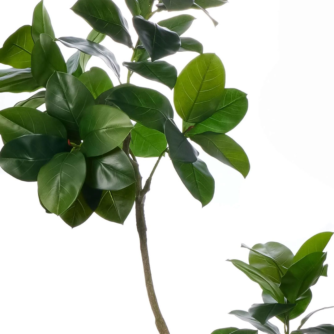 フェイクグリーン 大型 ゴムリーフ ウッドプランター 高さ180cm おしゃれな観葉植物 リアル インテリア 店舗 事務所_2