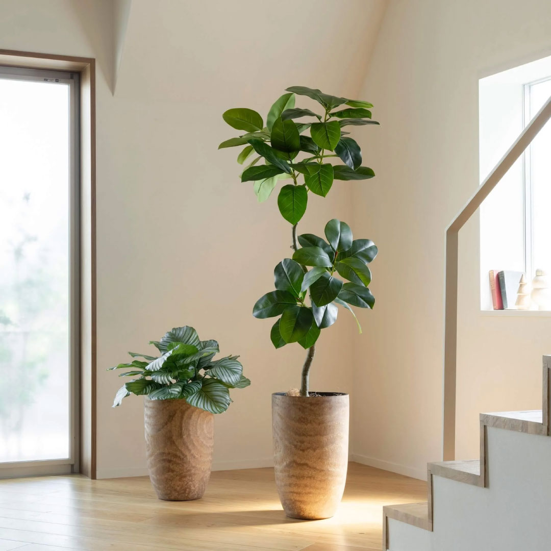 フェイクグリーン 大型 ゴムリーフ ウッドプランター 高さ180cm おしゃれな観葉植物 リアル インテリア 店舗 事務所_5