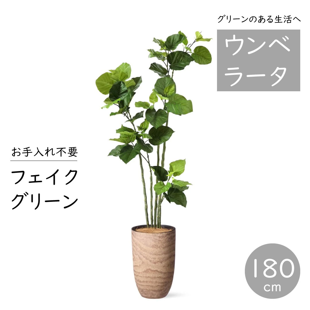 ニトリ フェイク グリーン ウンベラータ 180cm 【公式通販】