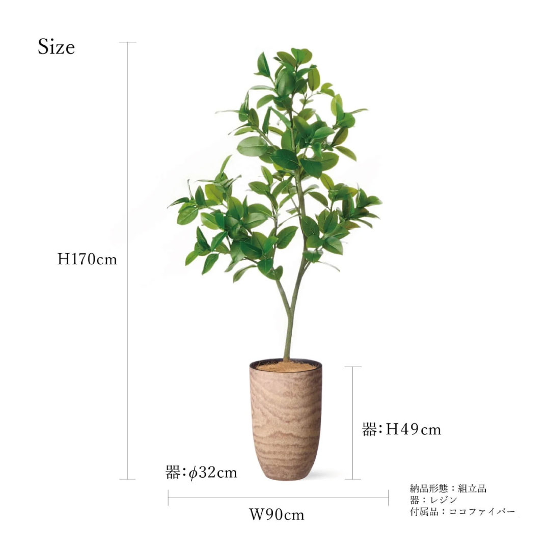 プリマ フェイクグリーン 大型 フィカスソフィア ウッドプランター 高