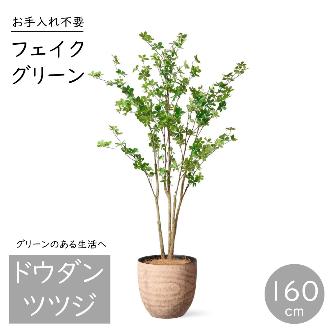 プリマ - フェイクグリーン ドウダンツツジ ウッドプランター 高さ160珊 かっこ良いな観葉草木  実際的 室内装飾  バス発着場 事務室 花、ガーデニング-人工観葉、フェイクグリーン