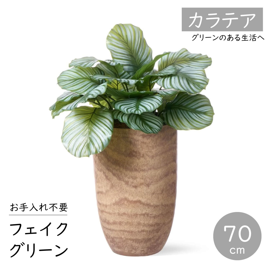 プリマ - フェイクグリーン カラテア ウッドプランター 高さ70珊 かっこ良いな観葉草木  実際的 室内装飾  バス発着場 事務室 人工観葉、フェイクグリーン-花、ガーデニング
