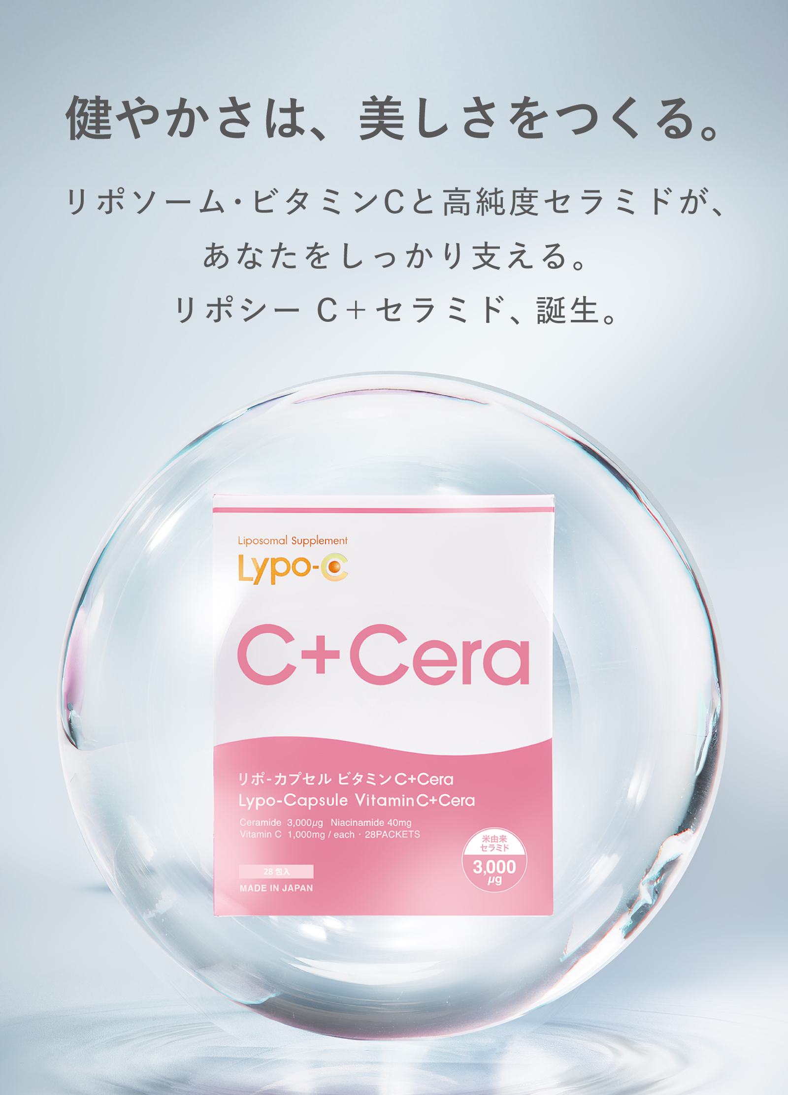 リポC