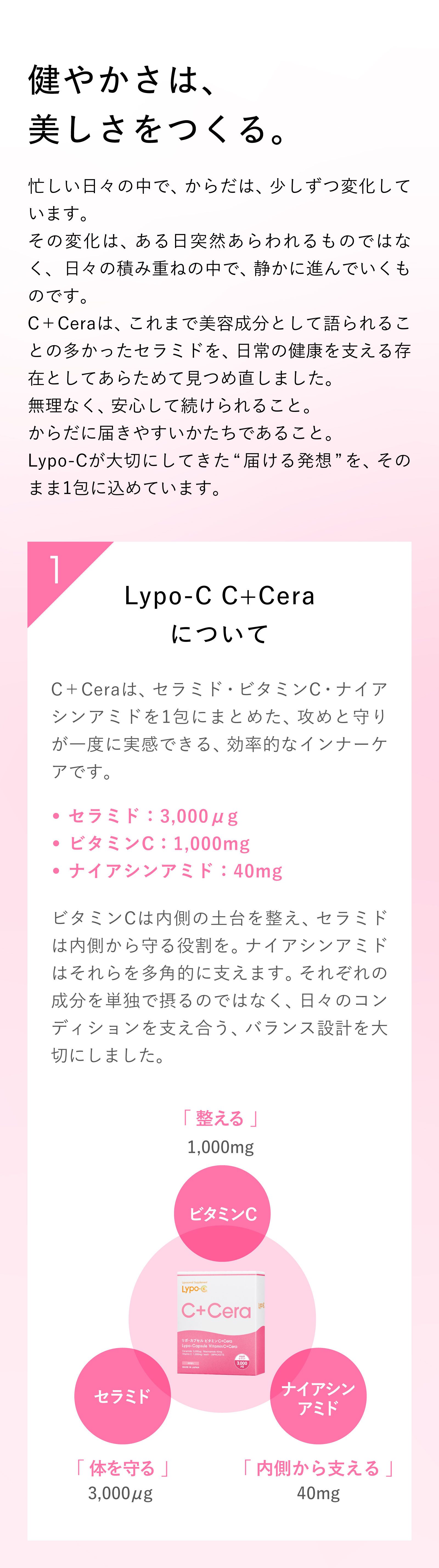 リポC