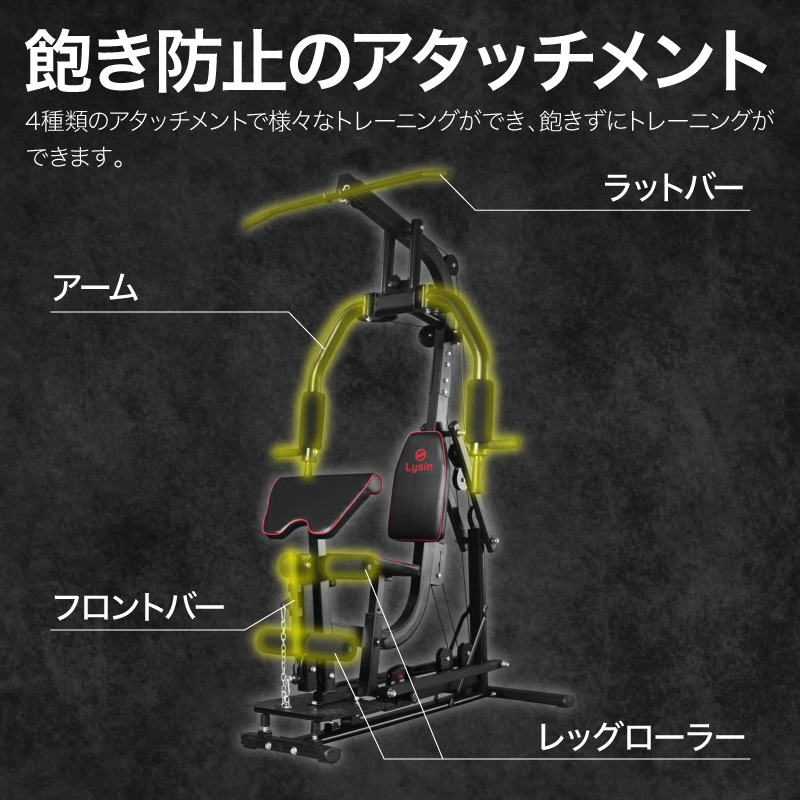 ライシン ホームジム DX マルチ トレーニング 器具 セット 総合