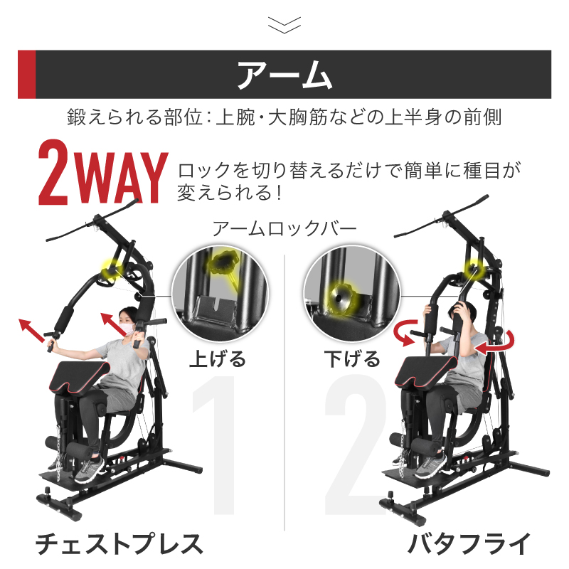 ライシン ホームジム DX マルチ トレーニング 器具 セット 総合