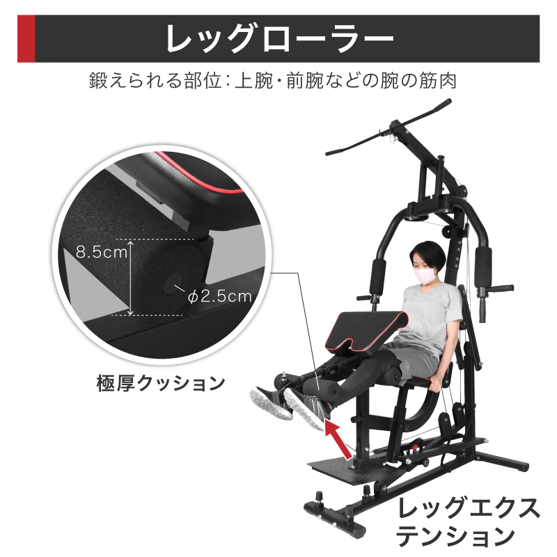 ライシン ホームジム DX マルチ トレーニング 器具 セット 総合