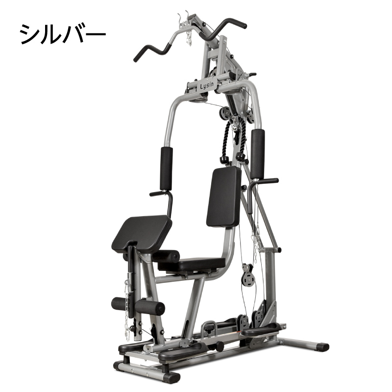 ライシン ホームジム 1台多役 静音設計 自重 総合 筋トレ マシン エクストラジム : ls-exgym : ライシン Yahoo!店 - 通販 -  Yahoo!ショッピング