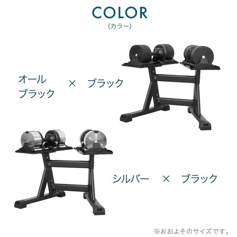 レビュー投稿で2年保証） ライシン ヘリックスミラー 1kg刻み 32kg 2個