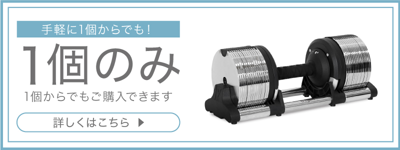 レビュー投稿で2年保証） ライシン メタルダンベル 1kg刻み 32kg 2個