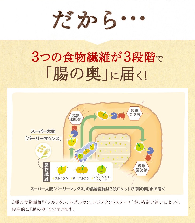 だから3つの食物繊維が3段階で「腸の奥」に届く！