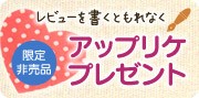 レビューを書くともれなく限定非売品 アップリケプレゼント