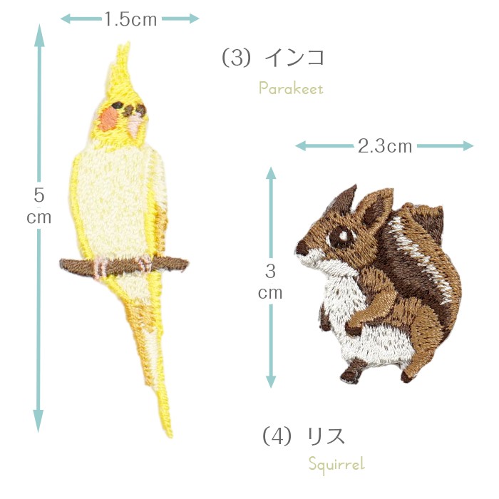 サイズ　動物B