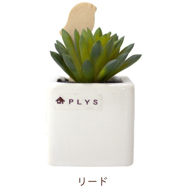 フェイクグリーン PLYS プリスグリーン 多肉 観葉植物 スティック