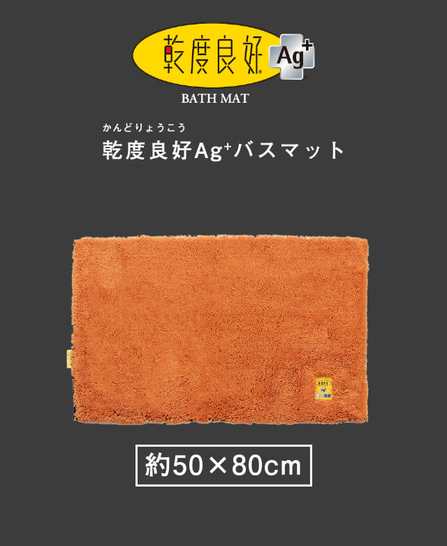 足拭きマット バスマット 大判 洗える 50×80cm 業務用 バスマット乾度