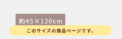 約45cm×120cm