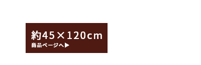 約45cm×120cm