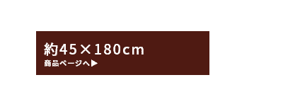 約45cm×180cm