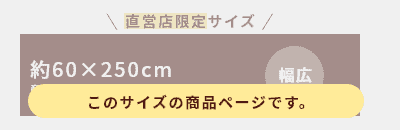 約60cm×250cm