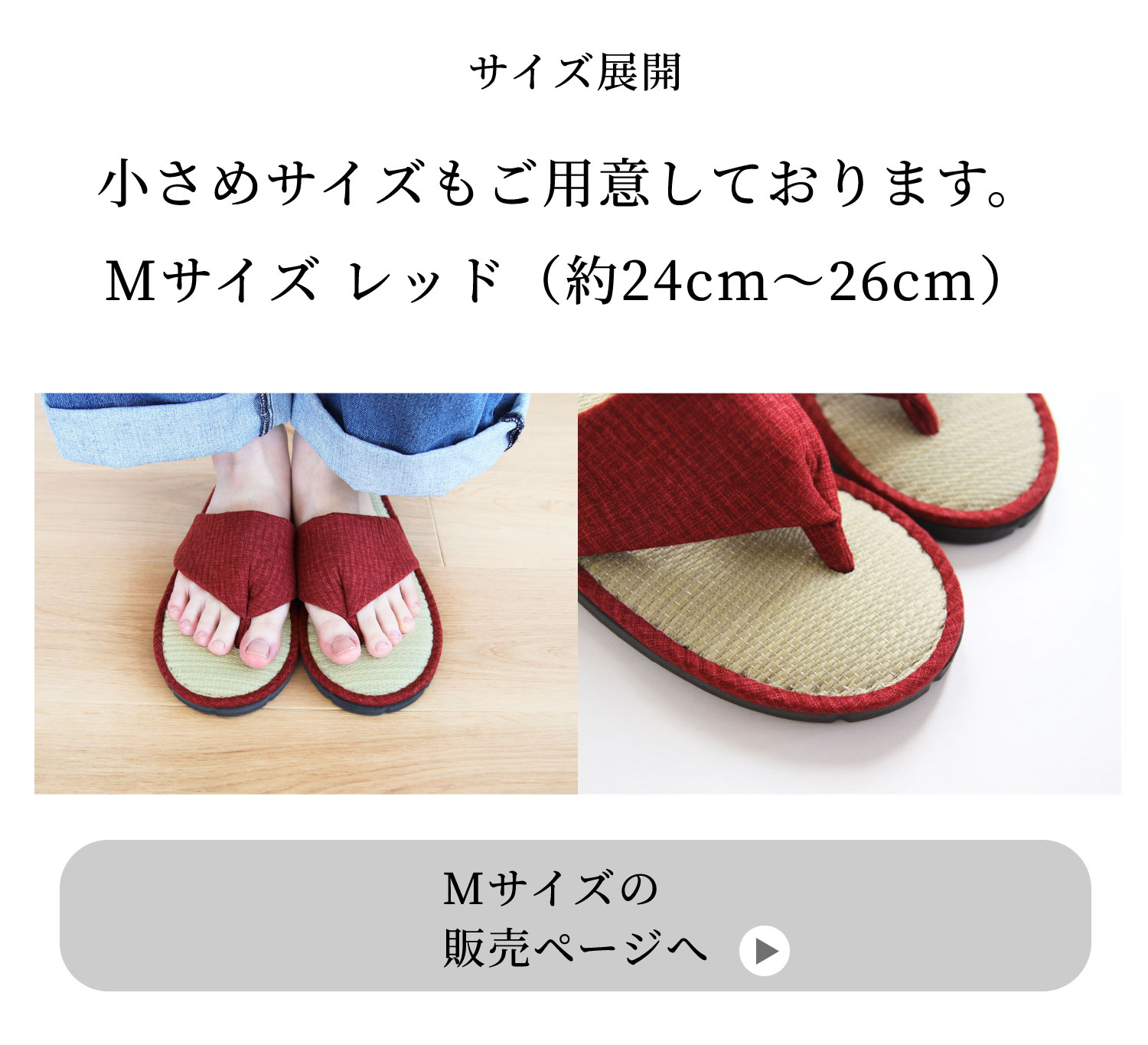 Mサイズの販売ページはこちら