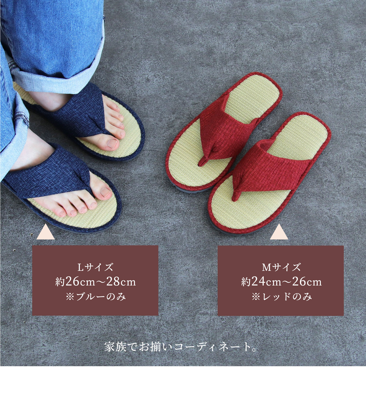 サイズ