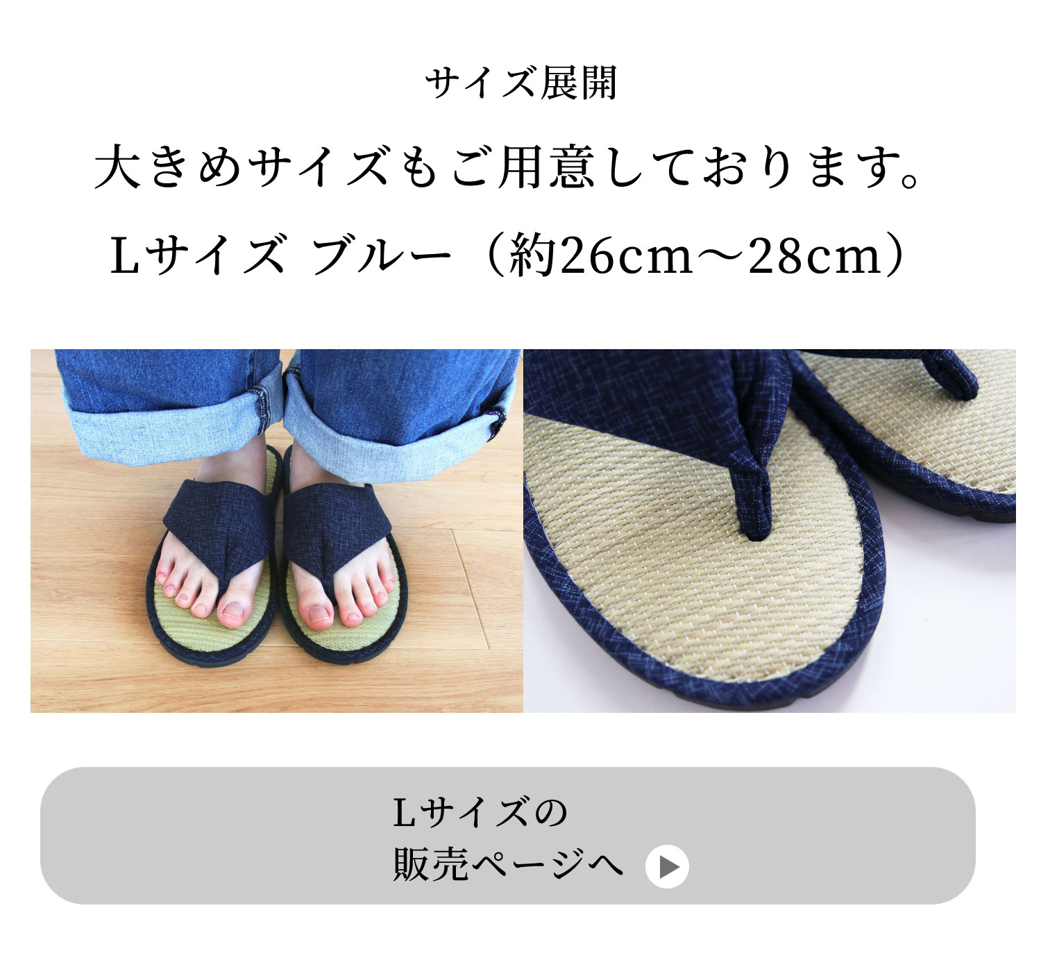 Lサイズの販売ページはこちら