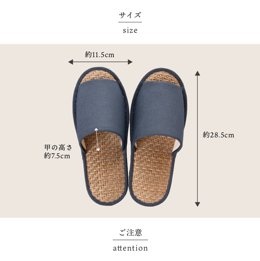 サイズ